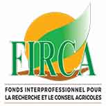 Partenaire 19